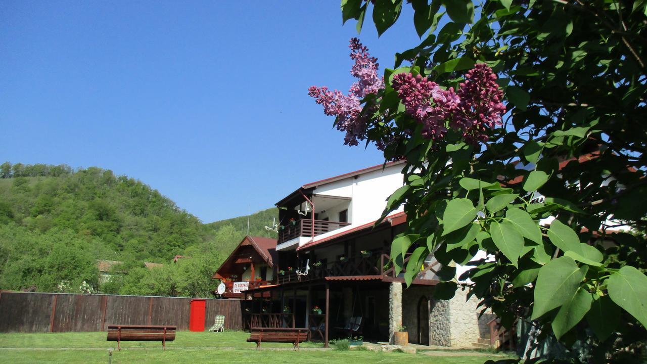 Cabana Poiana Galdei Exterior photo